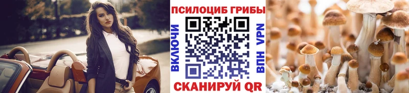гидра вход  Калтан  Галлюциногенные грибы Cubensis 
